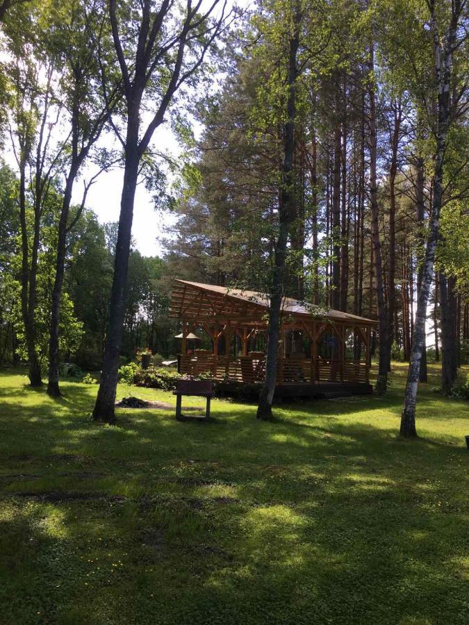 Villa Reinholdi Puhkemaja à Jabara Extérieur photo